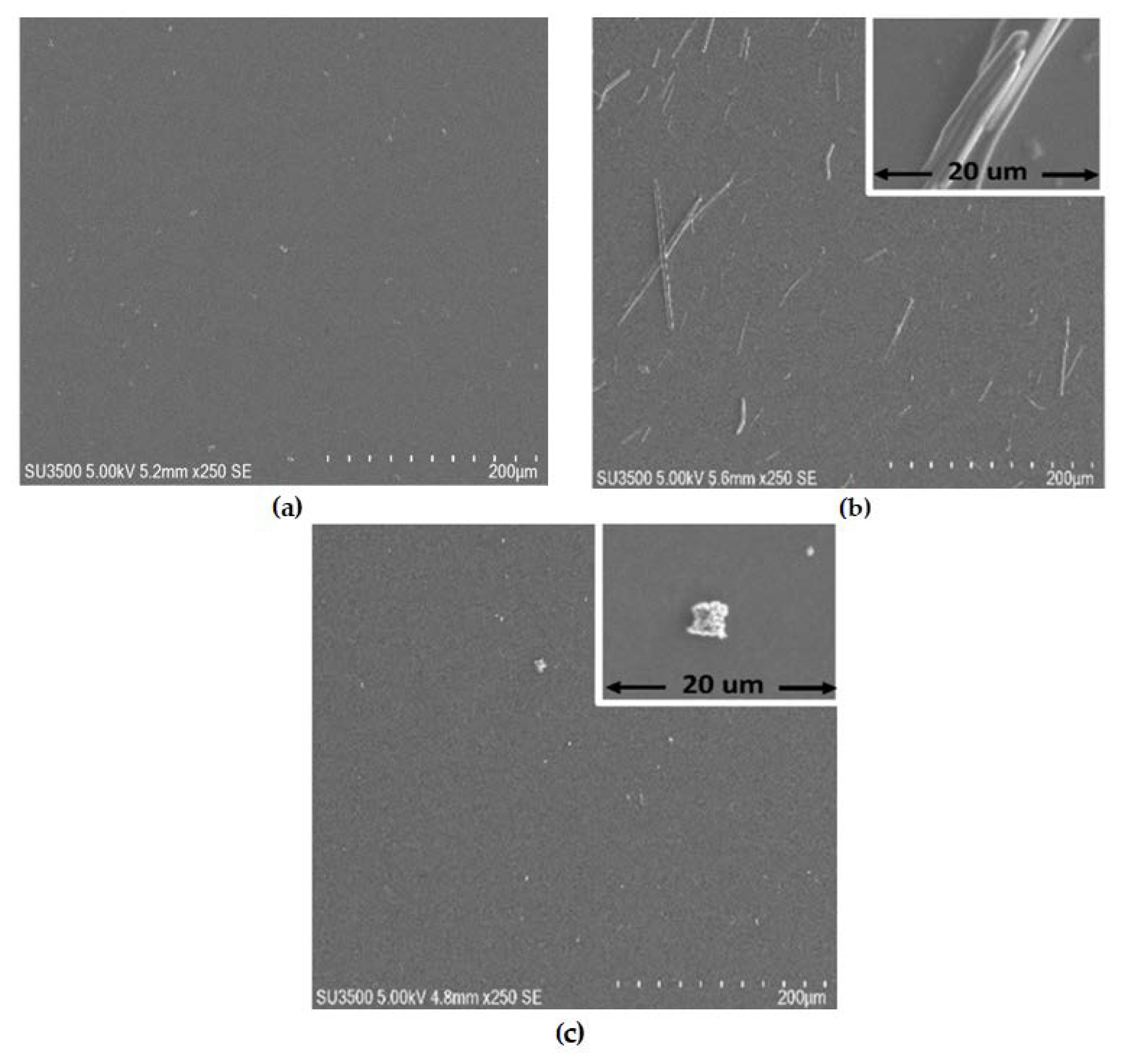 Polymers 13 04008 g003