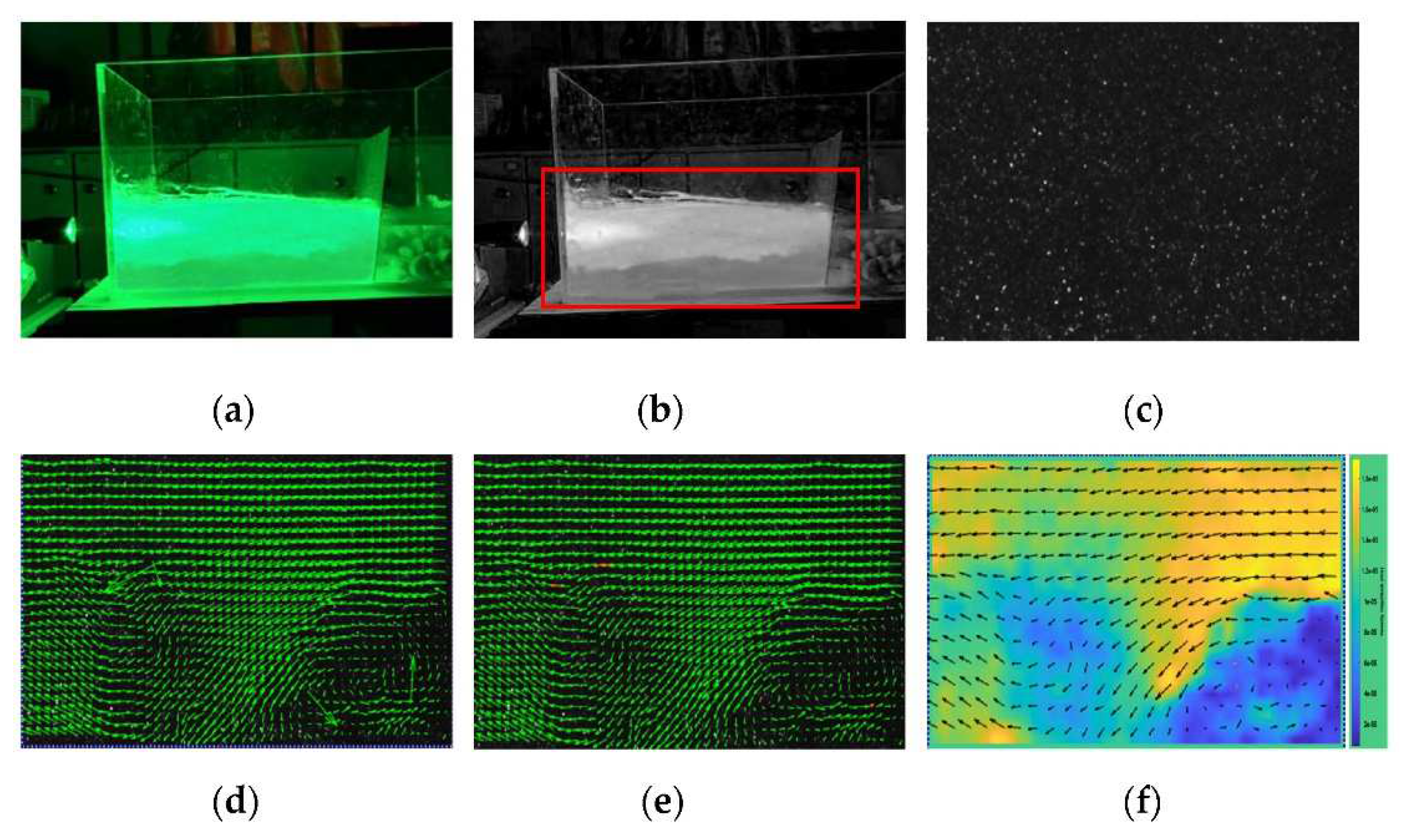 Polymers 13 04009 g006