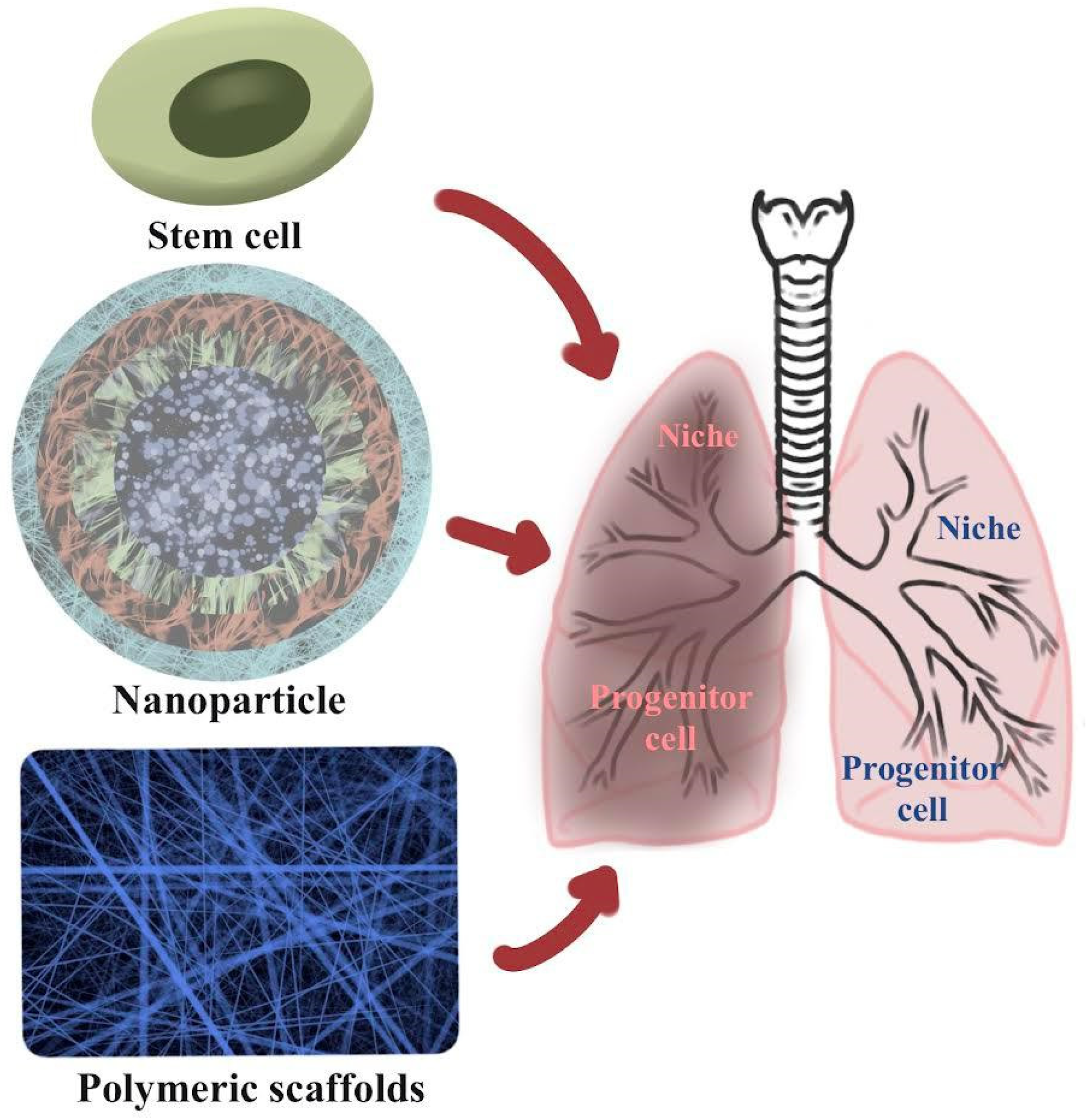 Polymers 13 04011 g001 Polymers 13 04011 g001