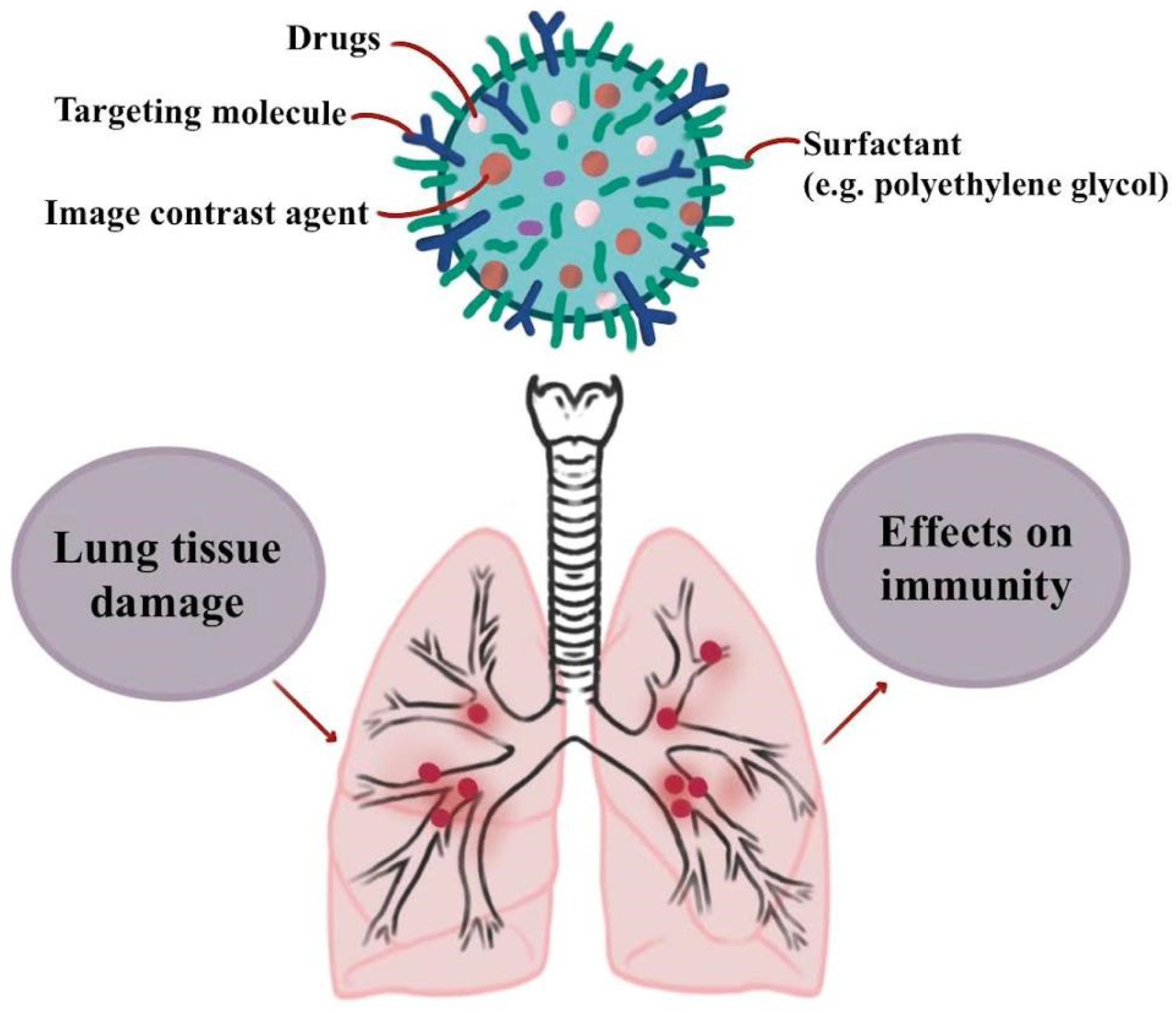 Polymers 13 04011 g003 Polymers 13 04011 g003
