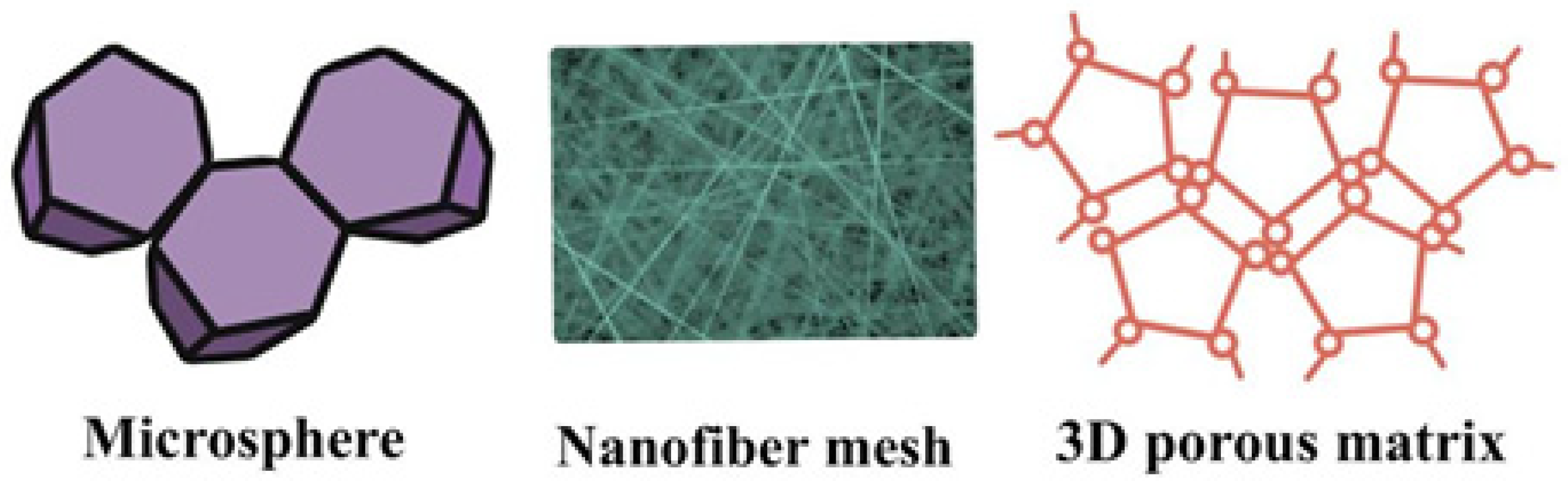 Polymers 13 04011 g006 Polymers 13 04011 g006