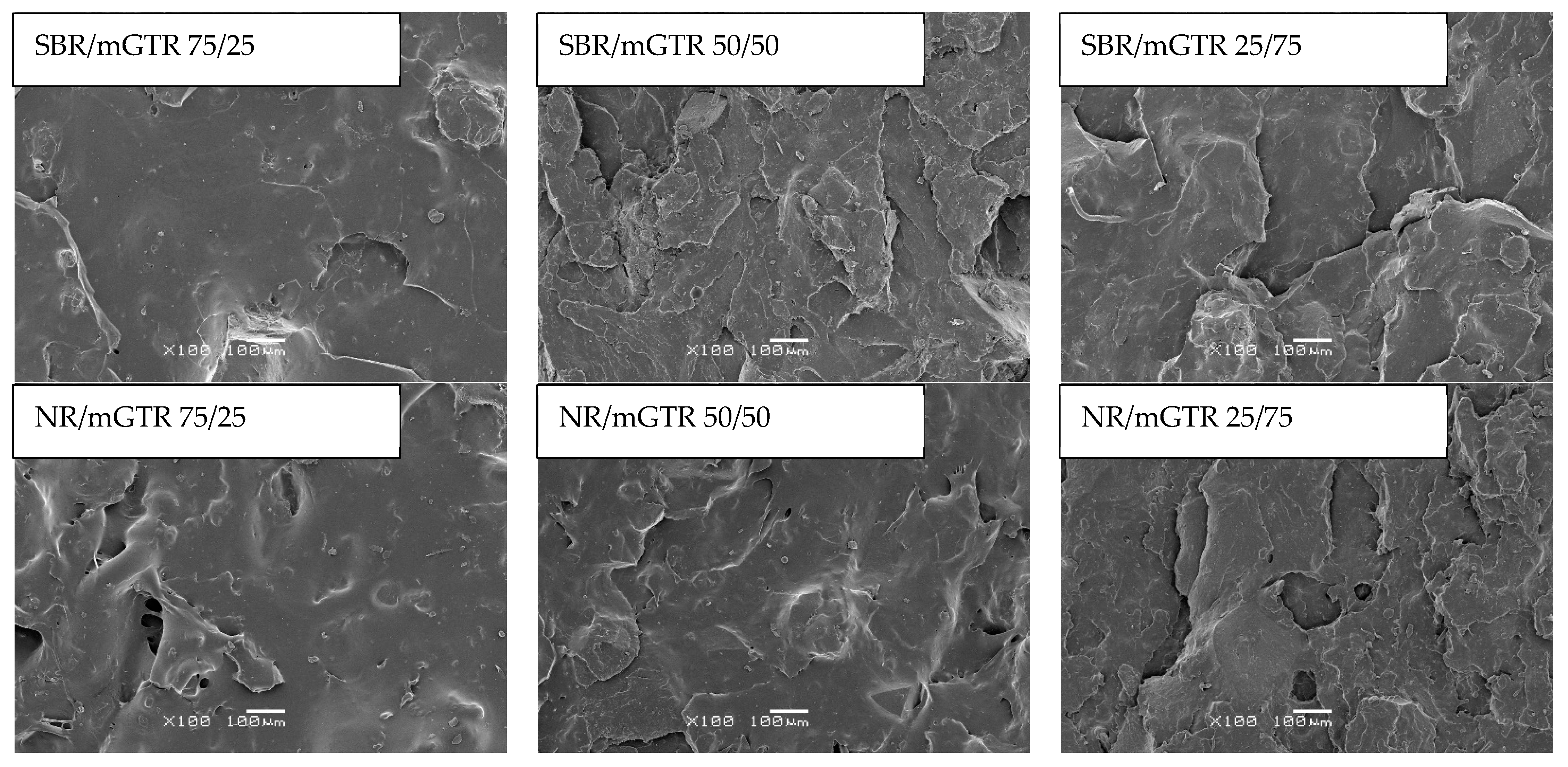 Polymers 13 04014 g006 550