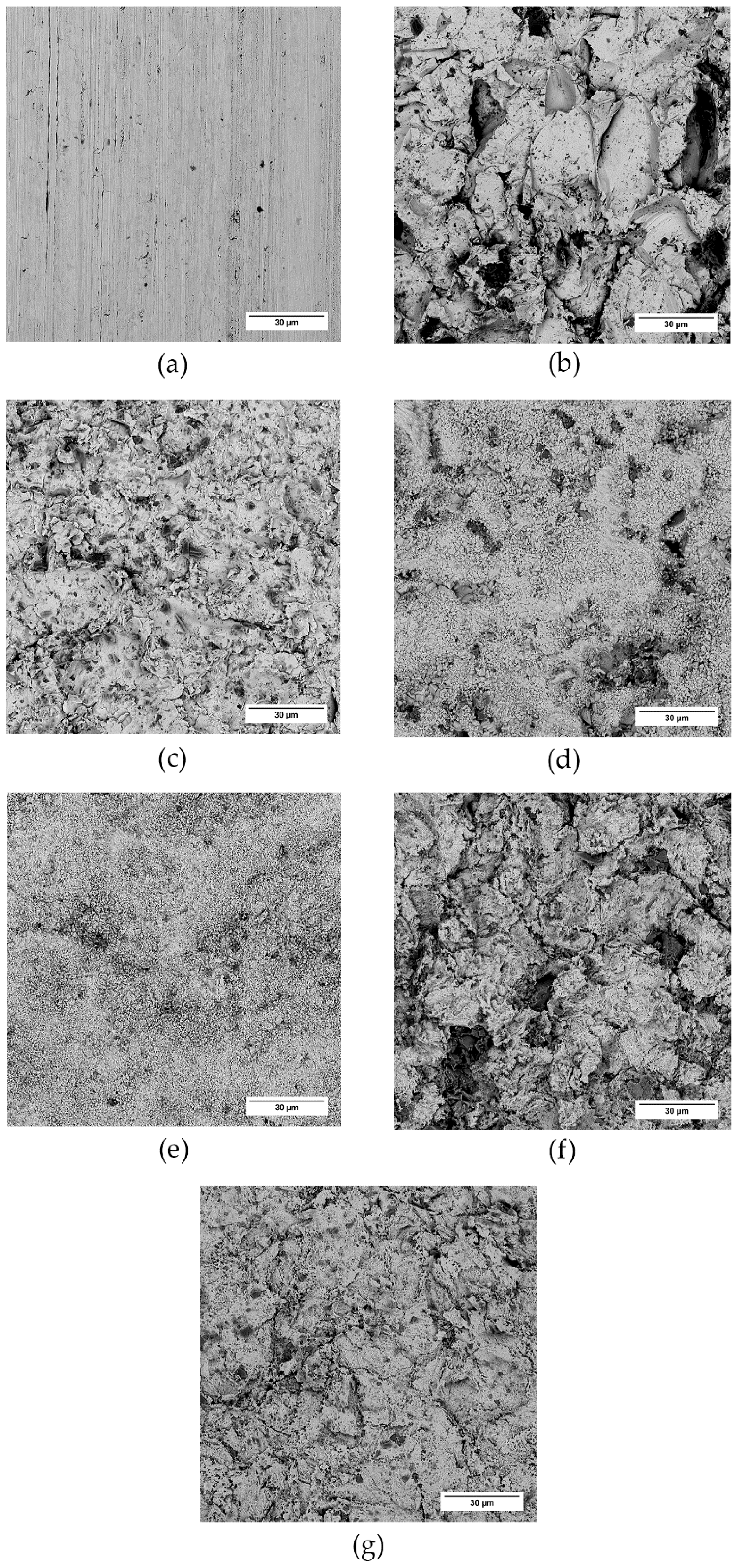 Polymers 13 04015 g005
