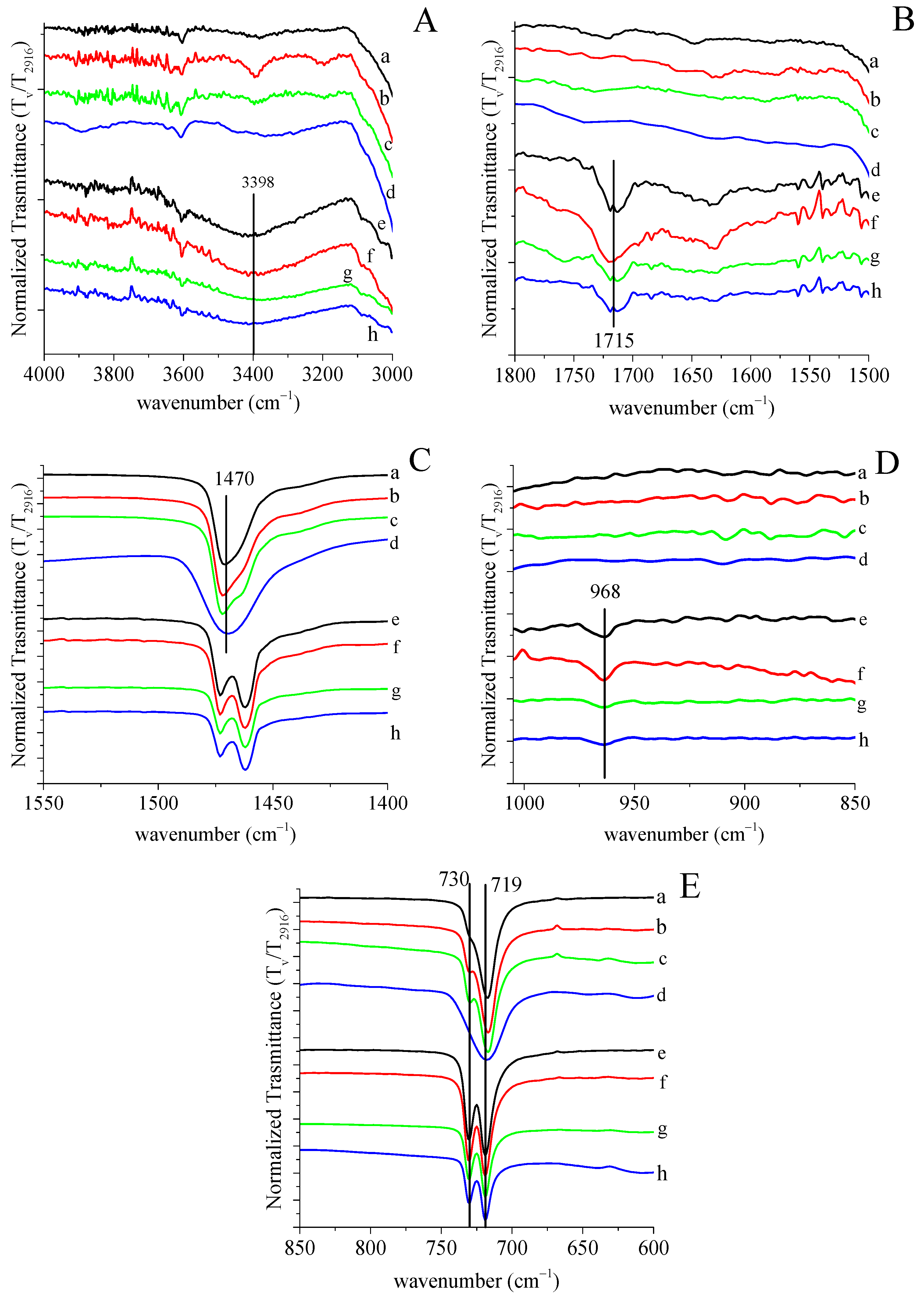 Polymers 13 04016 g001