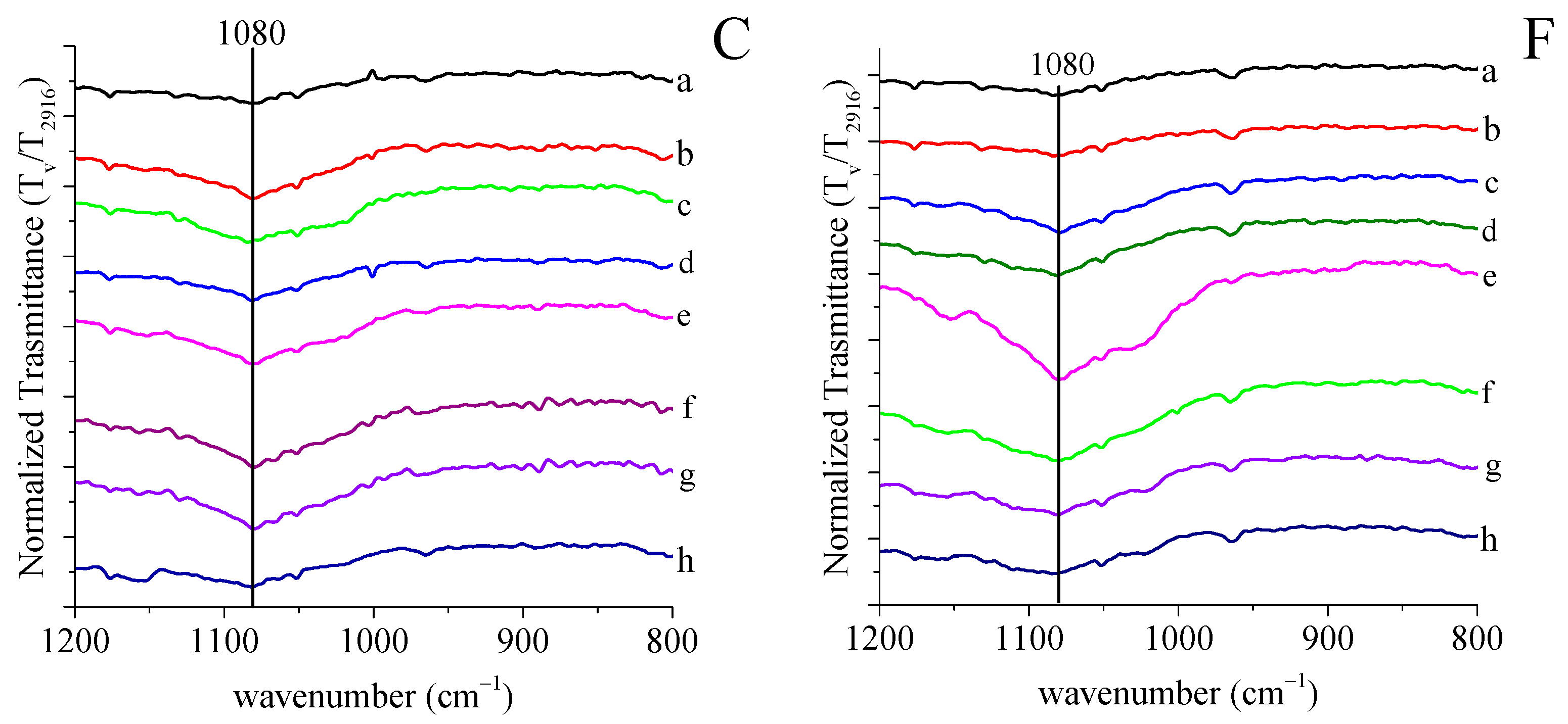 Polymers 13 04016 g002b