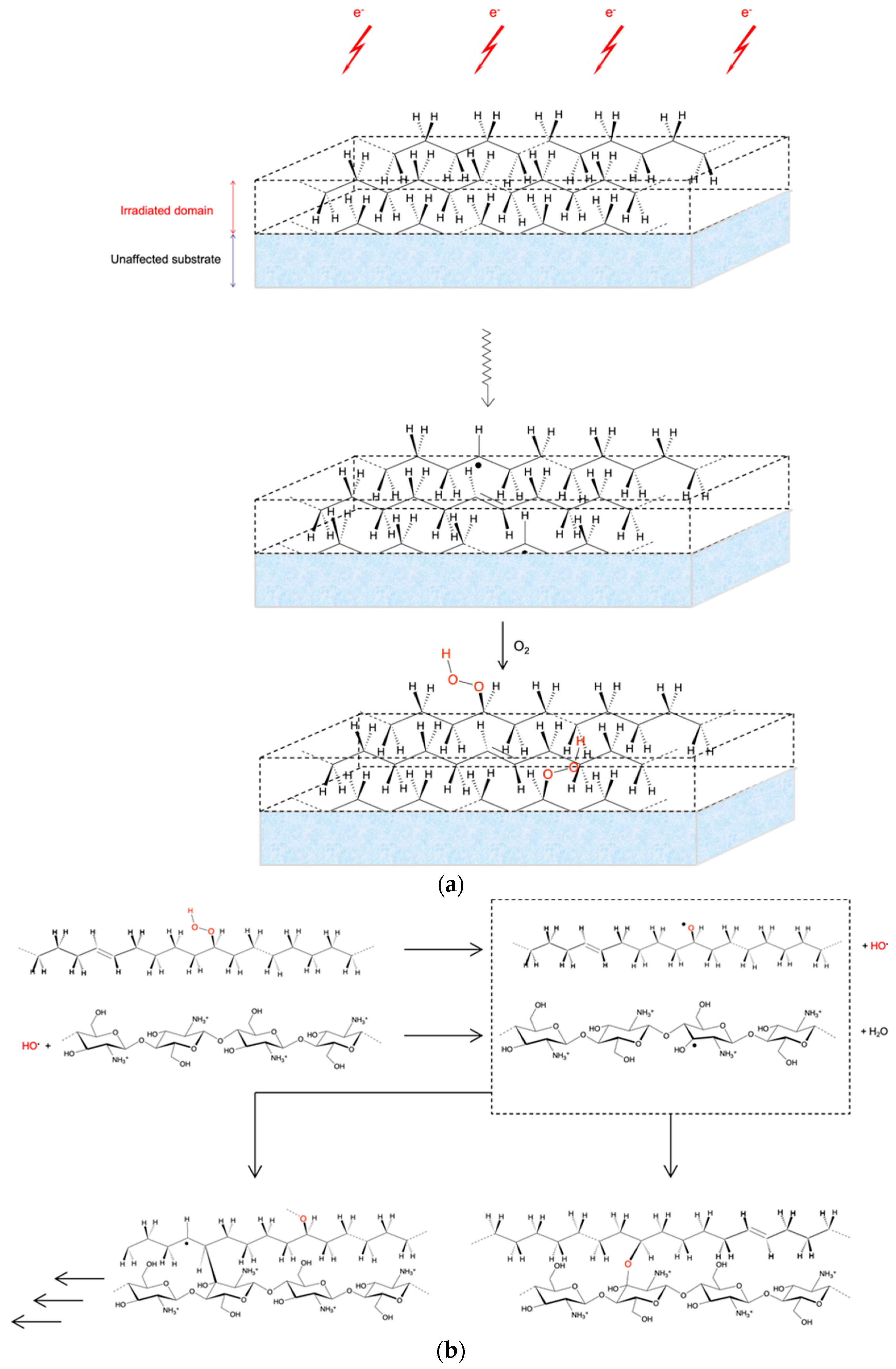 Polymers 13 04016 sch001