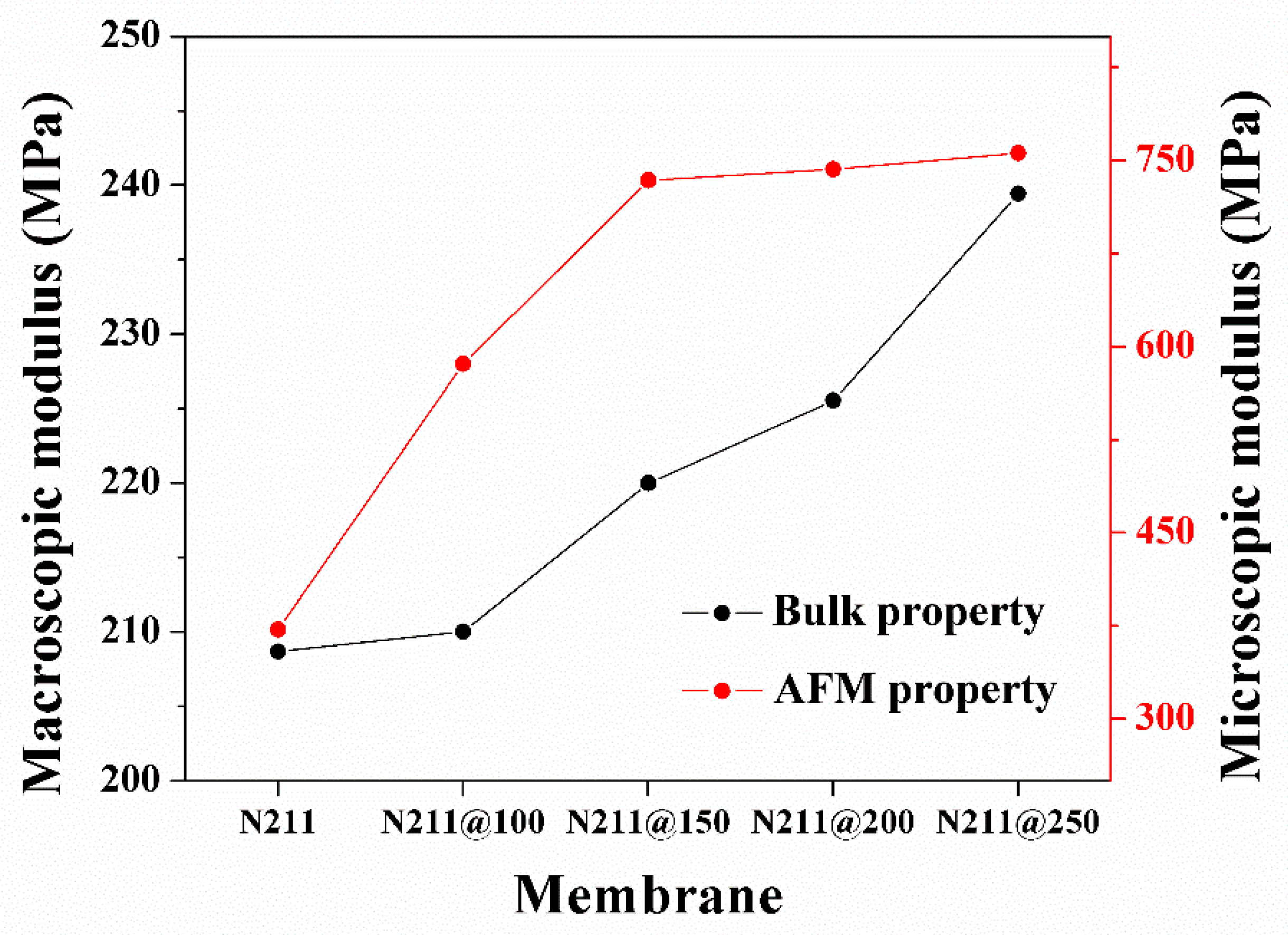 Polymers 13 04018 g006