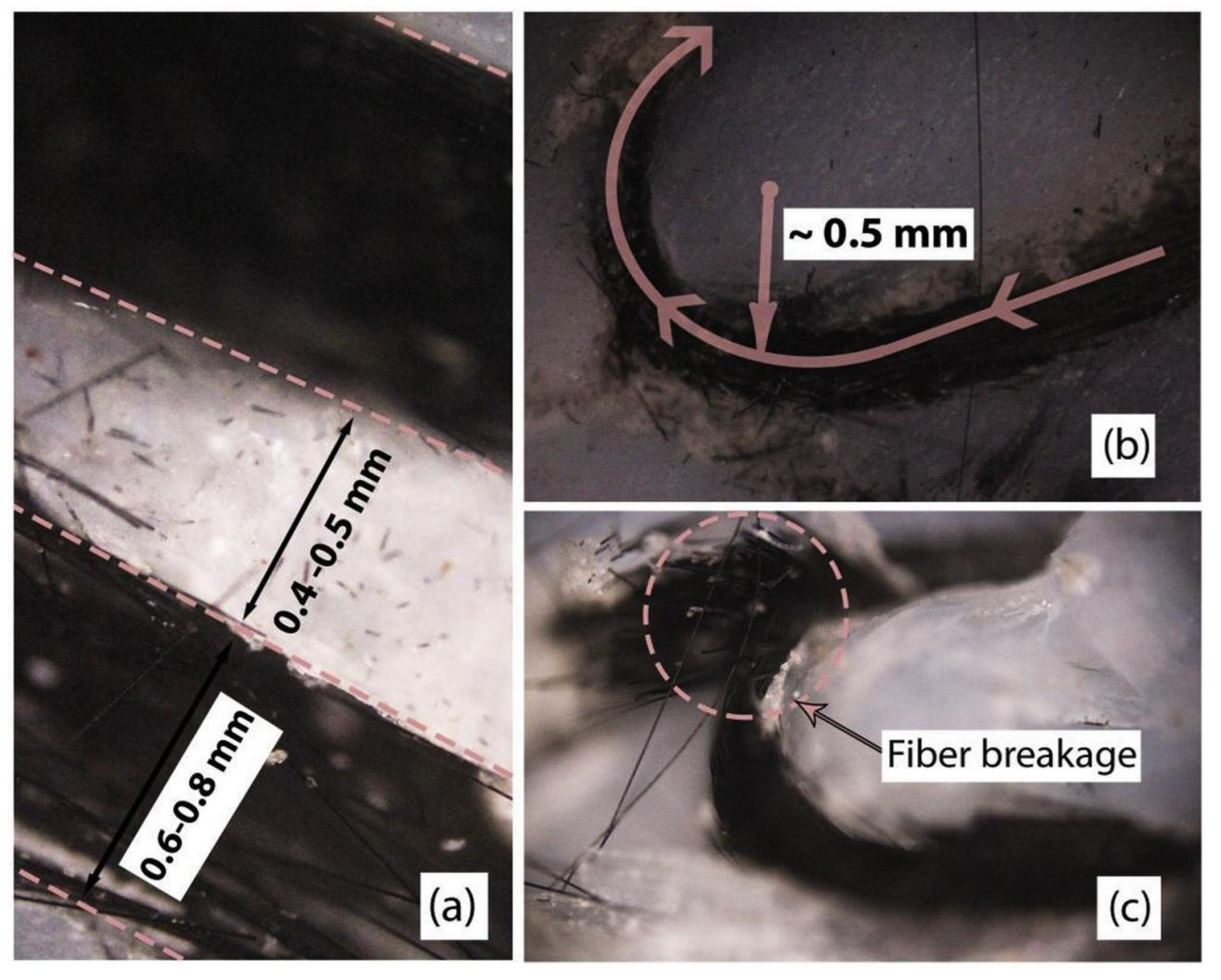 Polymers 13 04022 g008