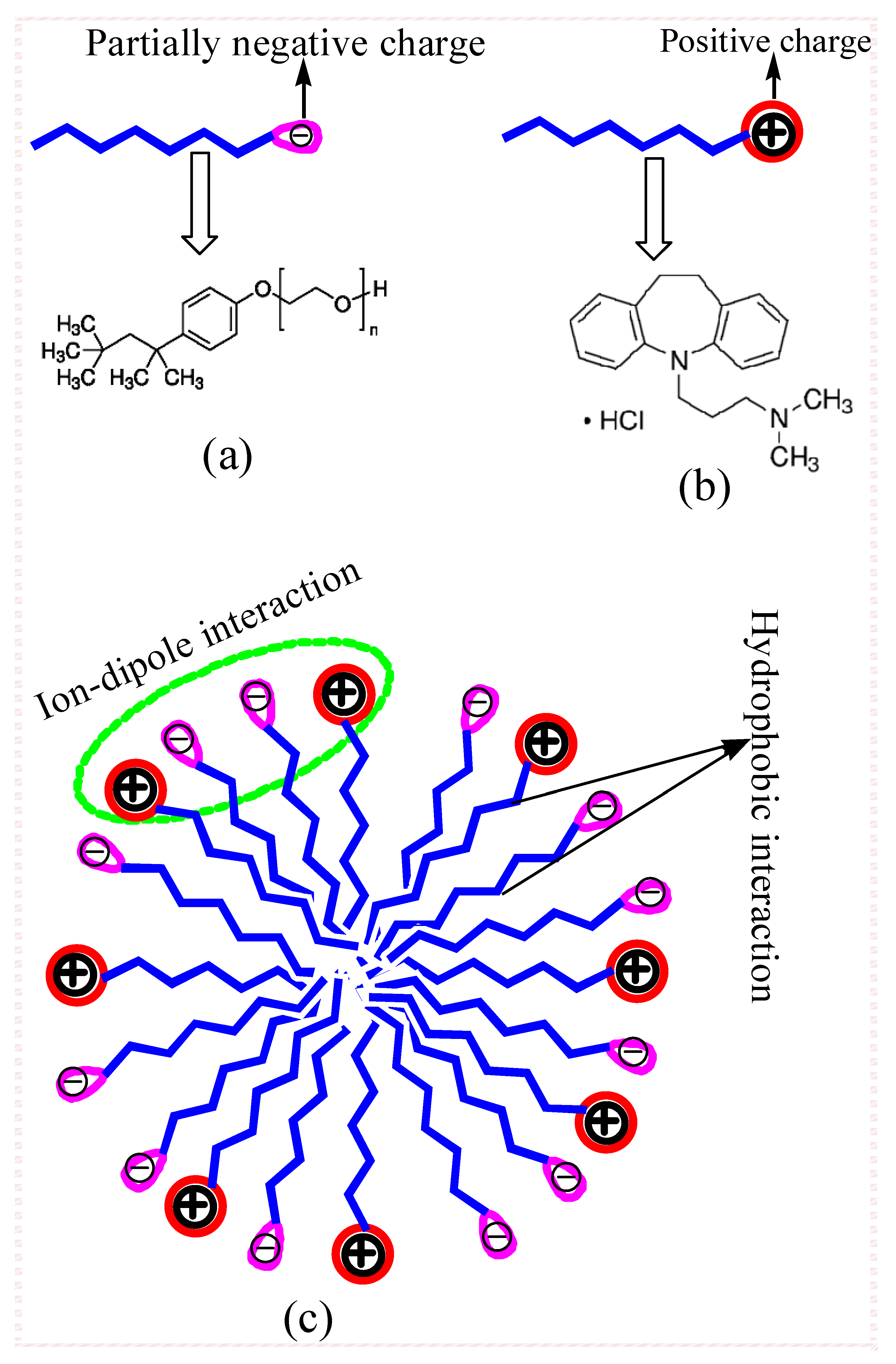 Polymers 13 04025 g001