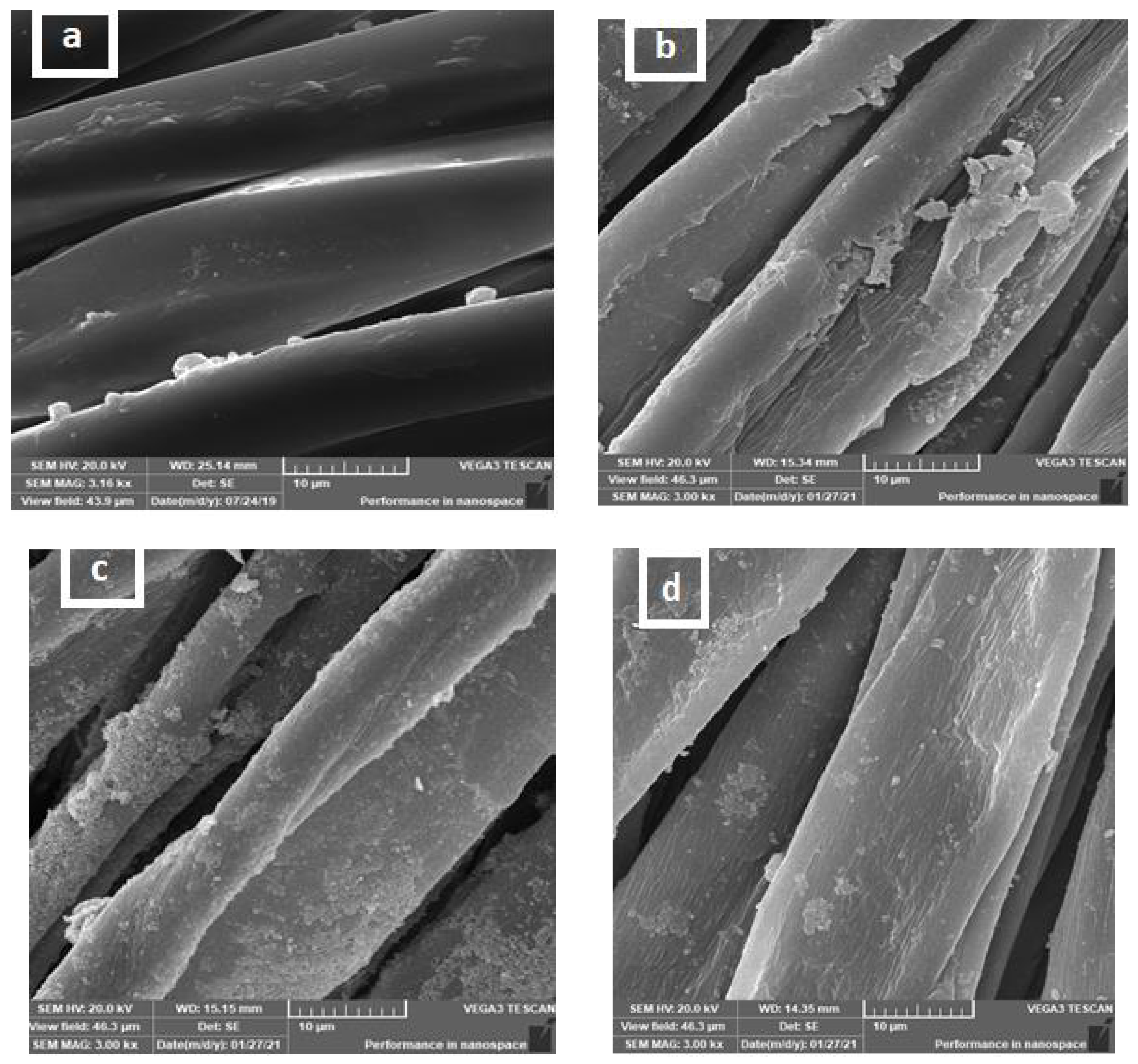 Polymers 13 04027 g003 Polymers 13 04027 g003