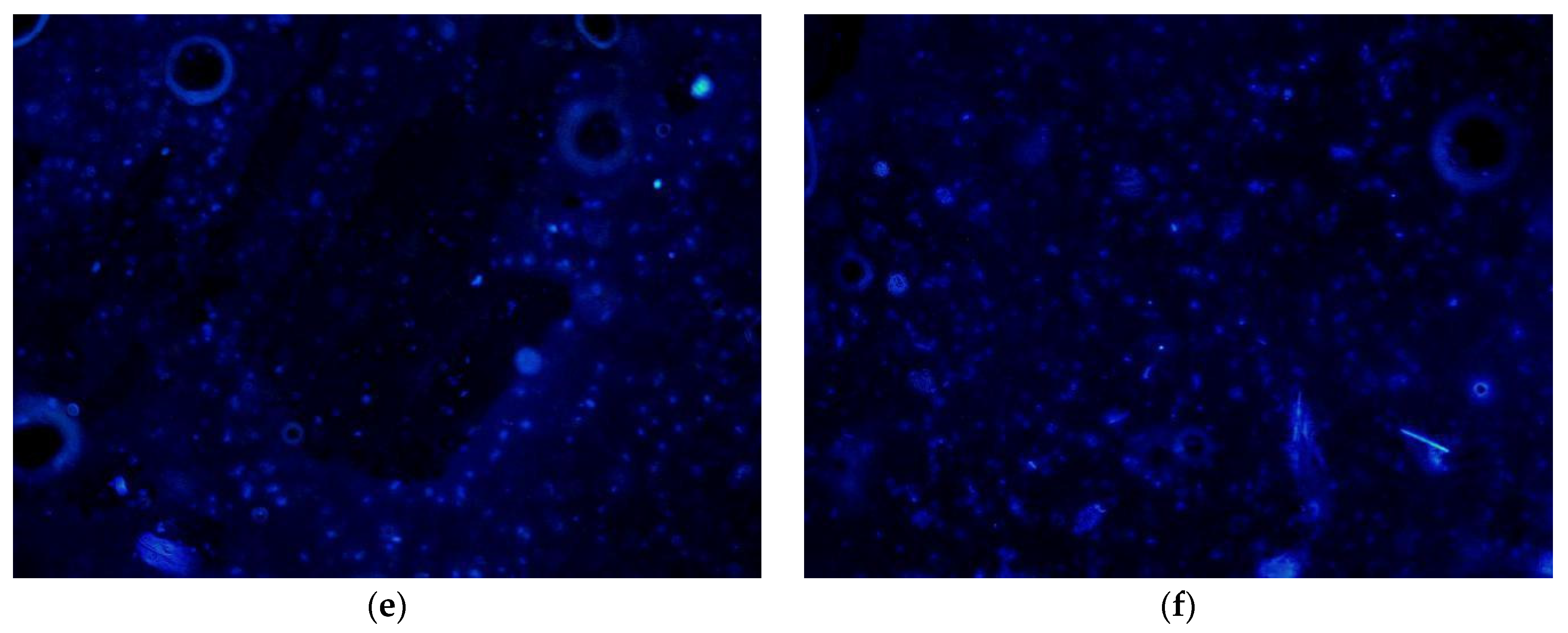 Polymers 13 04028 g012b 550