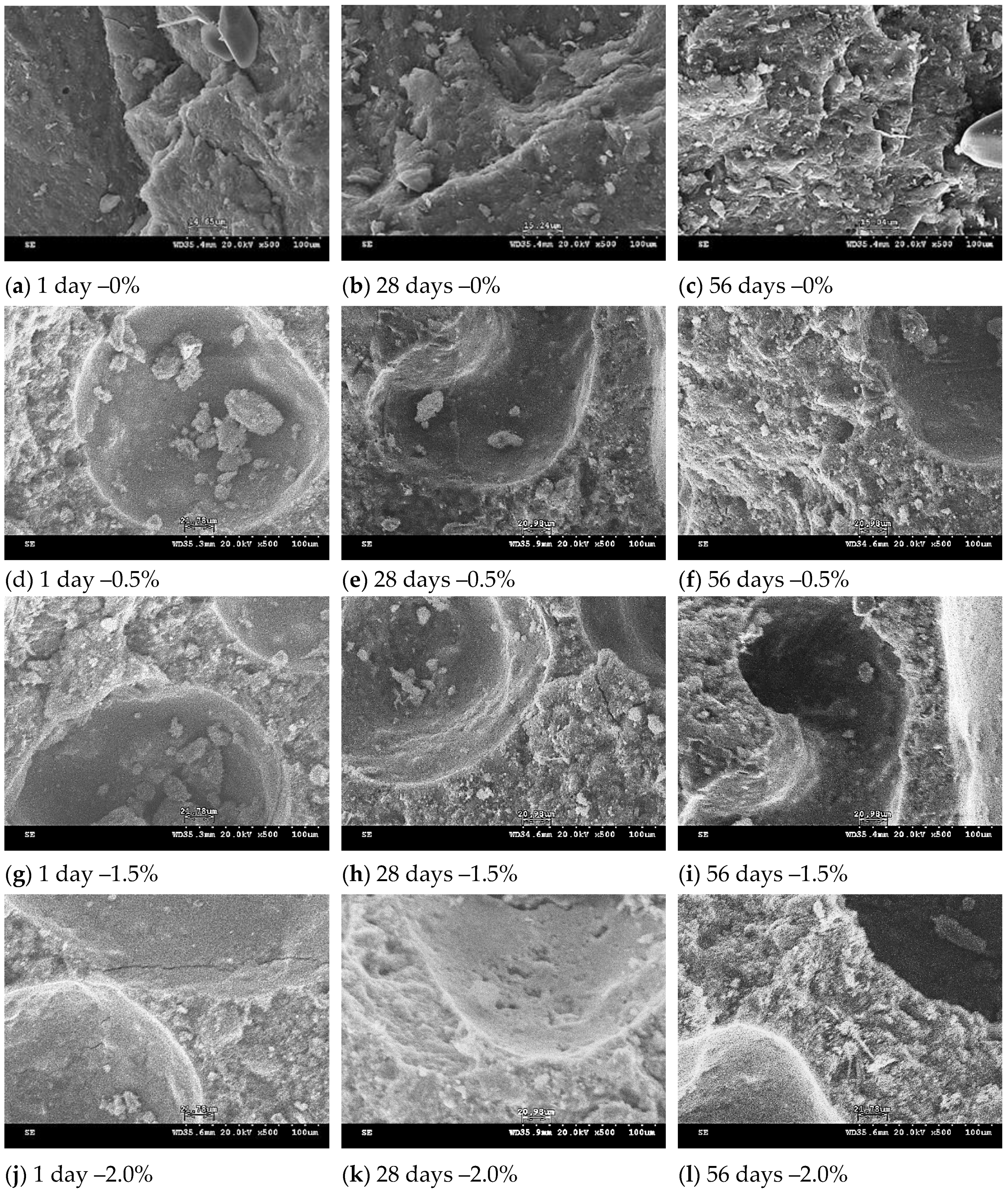 Polymers 13 04029 g006 550
