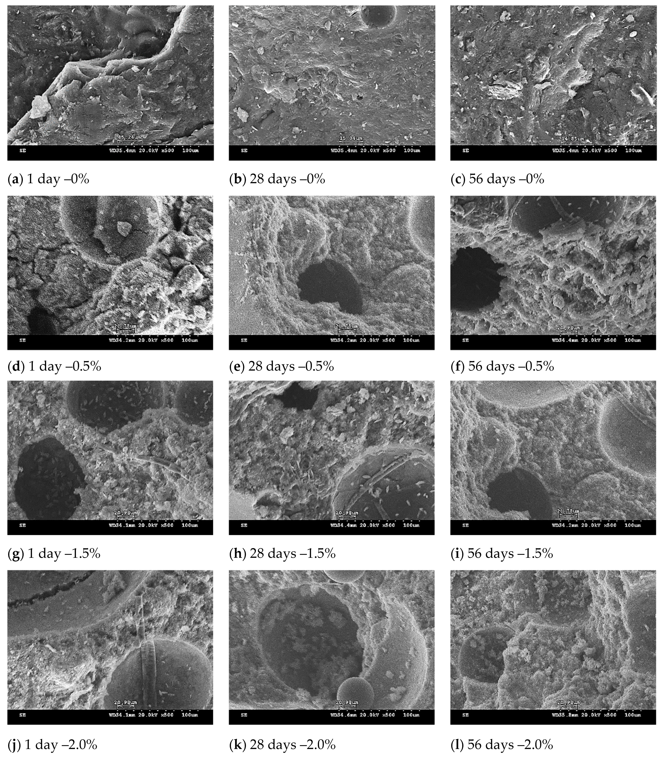 Polymers 13 04029 g007 550