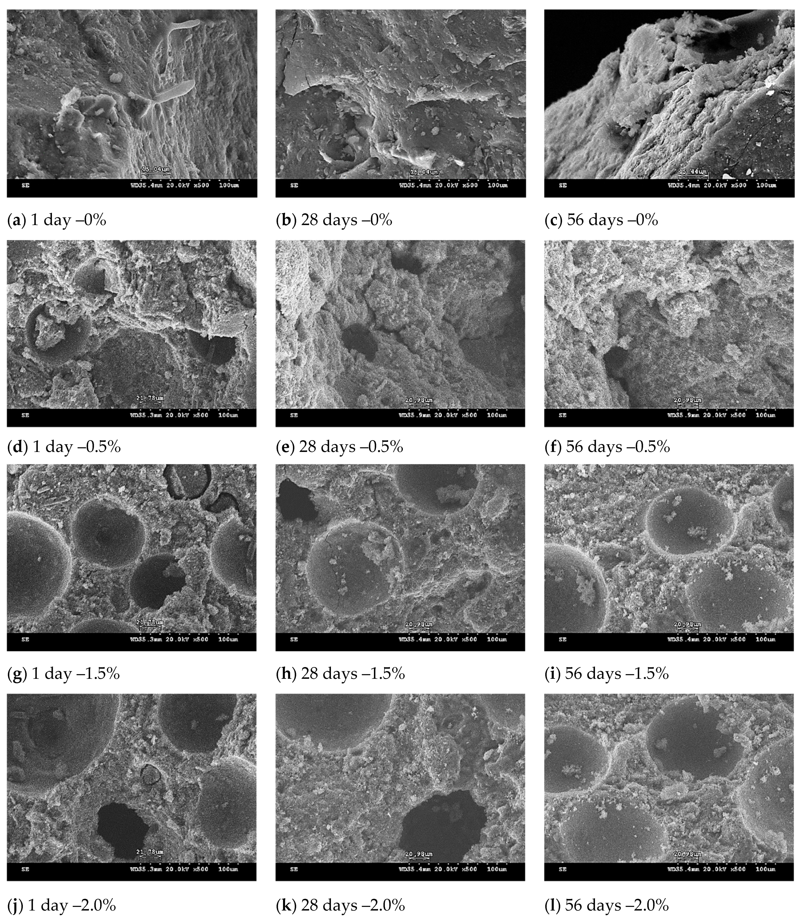 Polymers 13 04029 g008 550