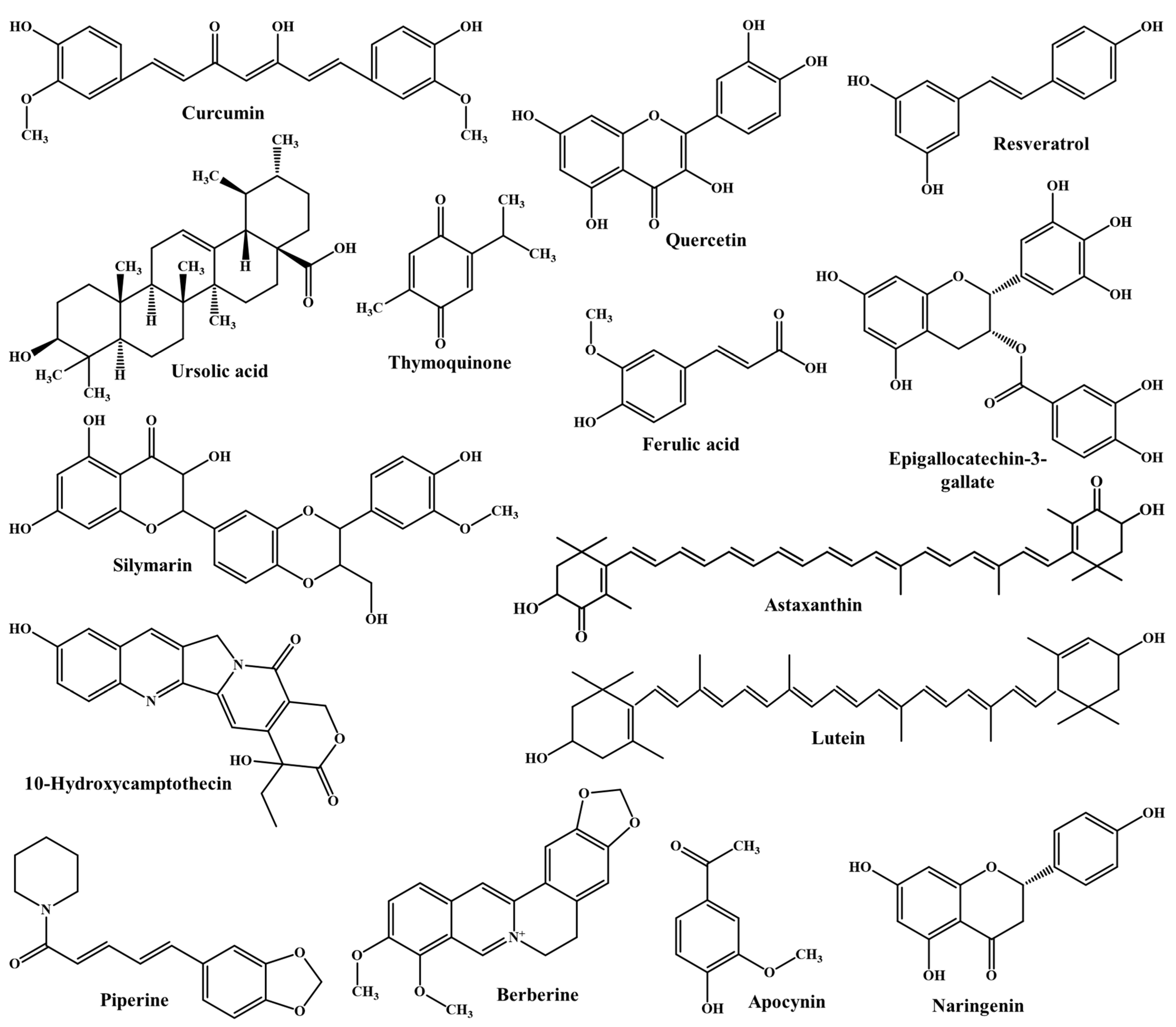FD TREATMENT 6本セット 02-01-0215 強化クラッチKIT(遠心式クラッチ専用) 1セット