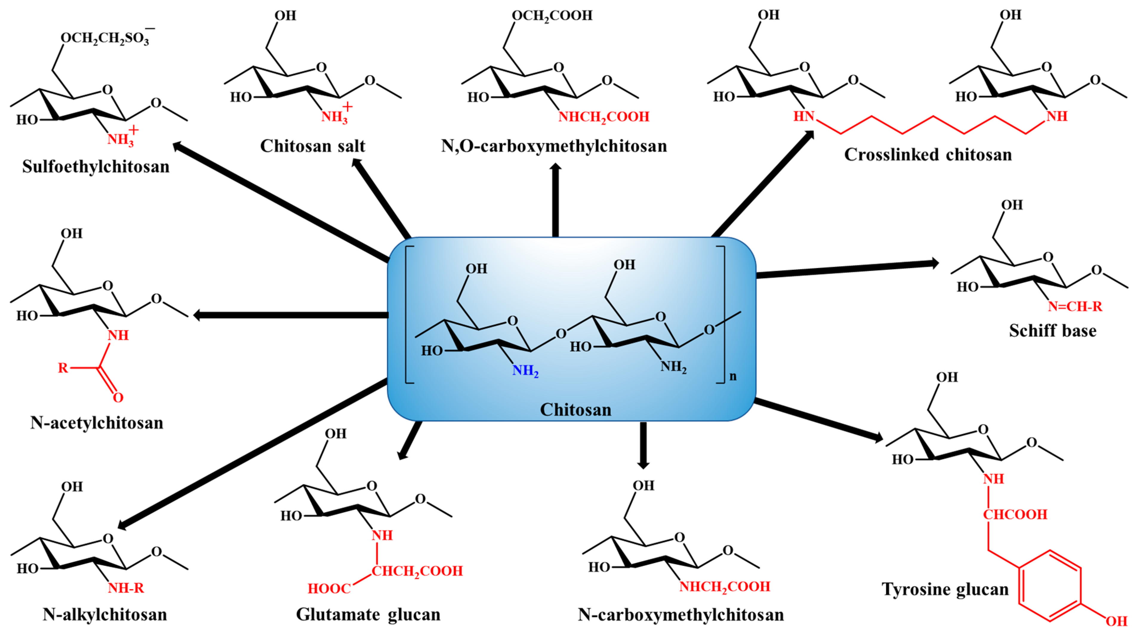 Polymers 13 04036 g003 550