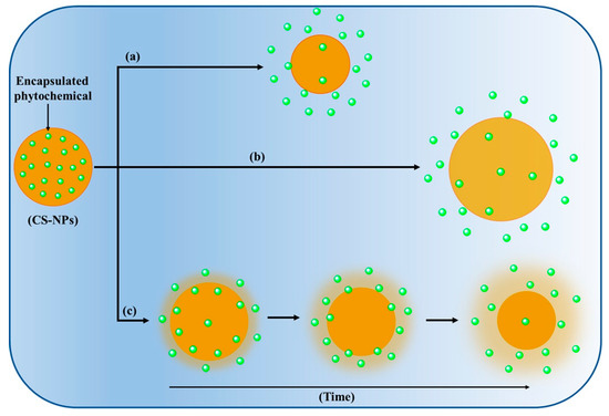 Recent Advancement in Chitosan-Based Nanoparticles for
