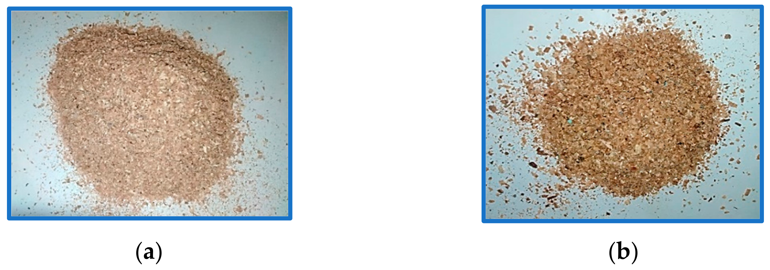 Polymers 13 04038 g001