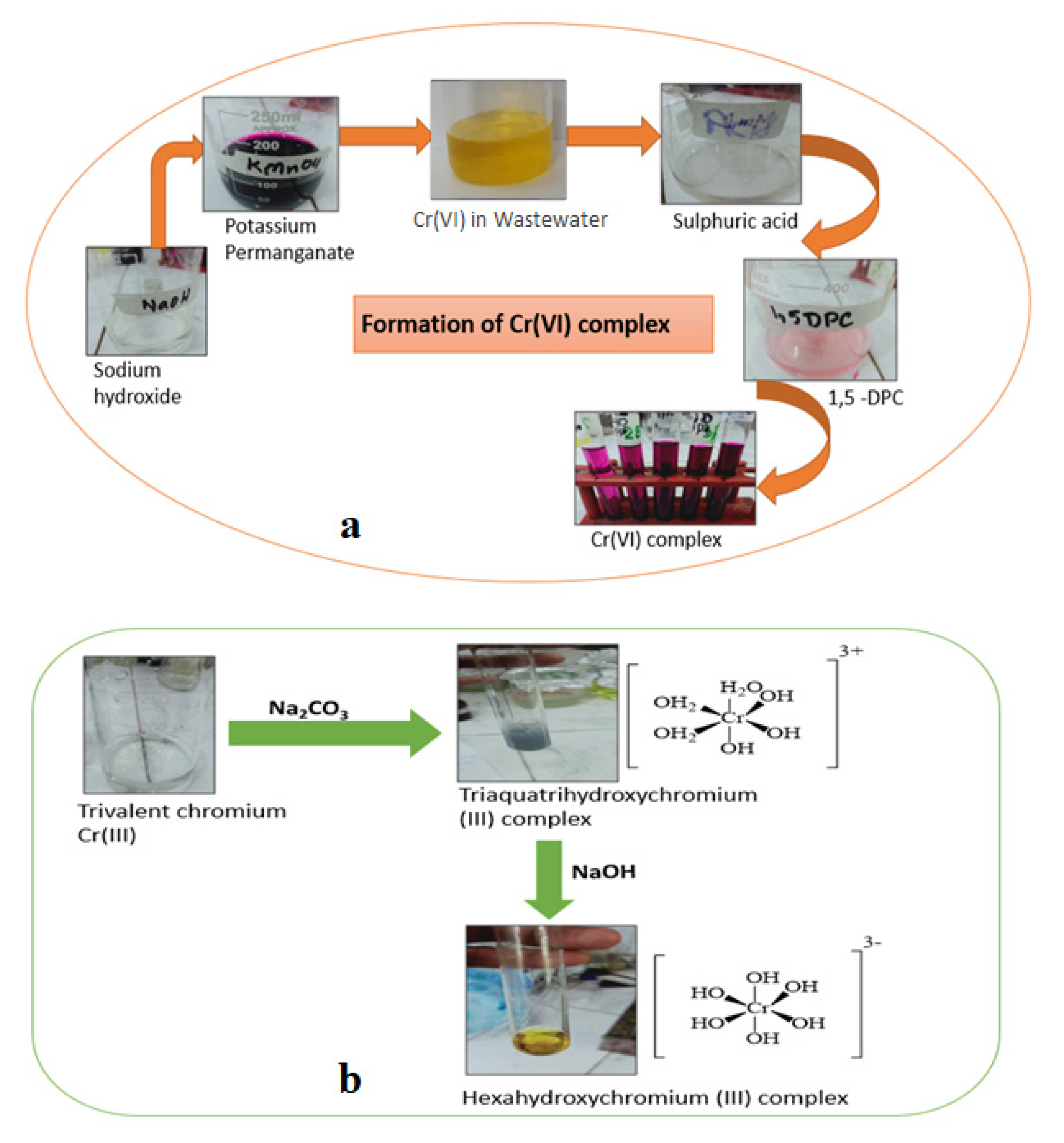 Polymers 13 04047 g007