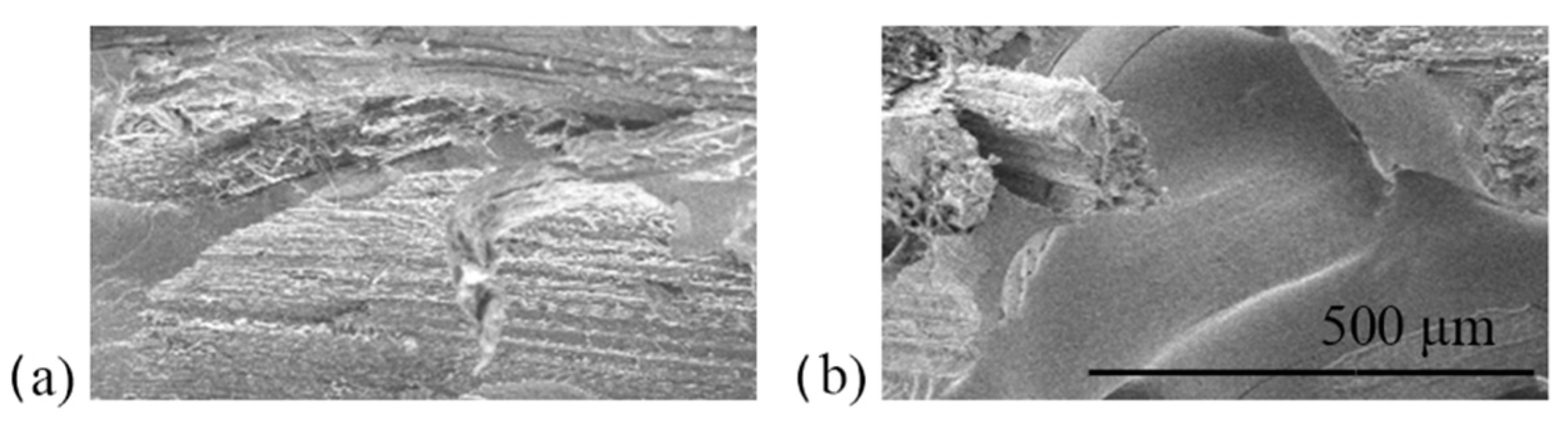 Polymers 13 04055 g010 Polymers 13 04055 g010