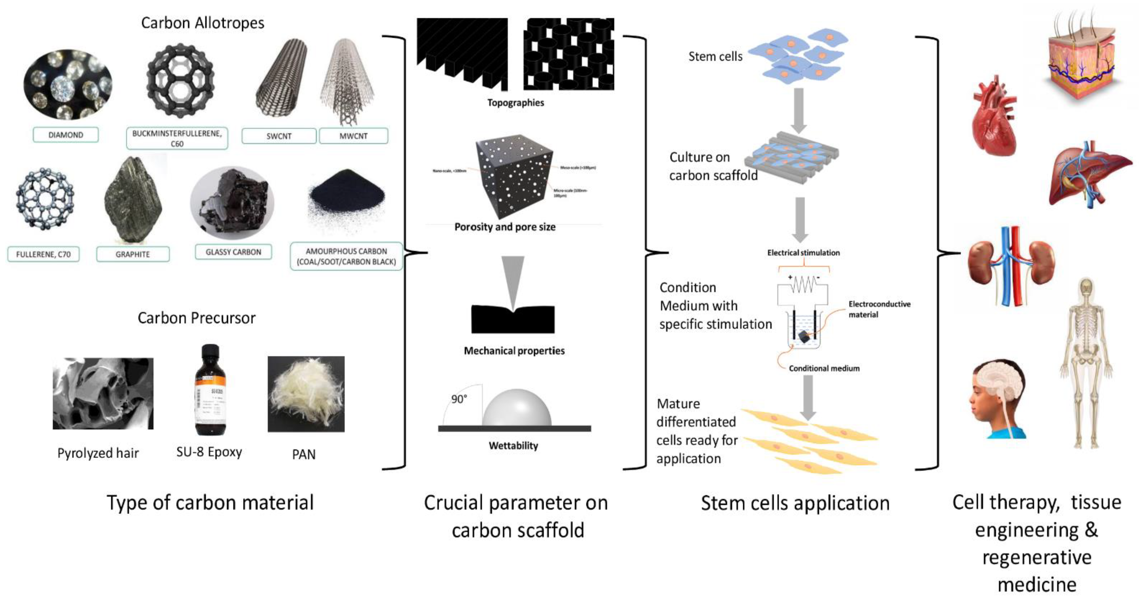 Polymers 13 04058 g001 Polymers 13 04058 g001