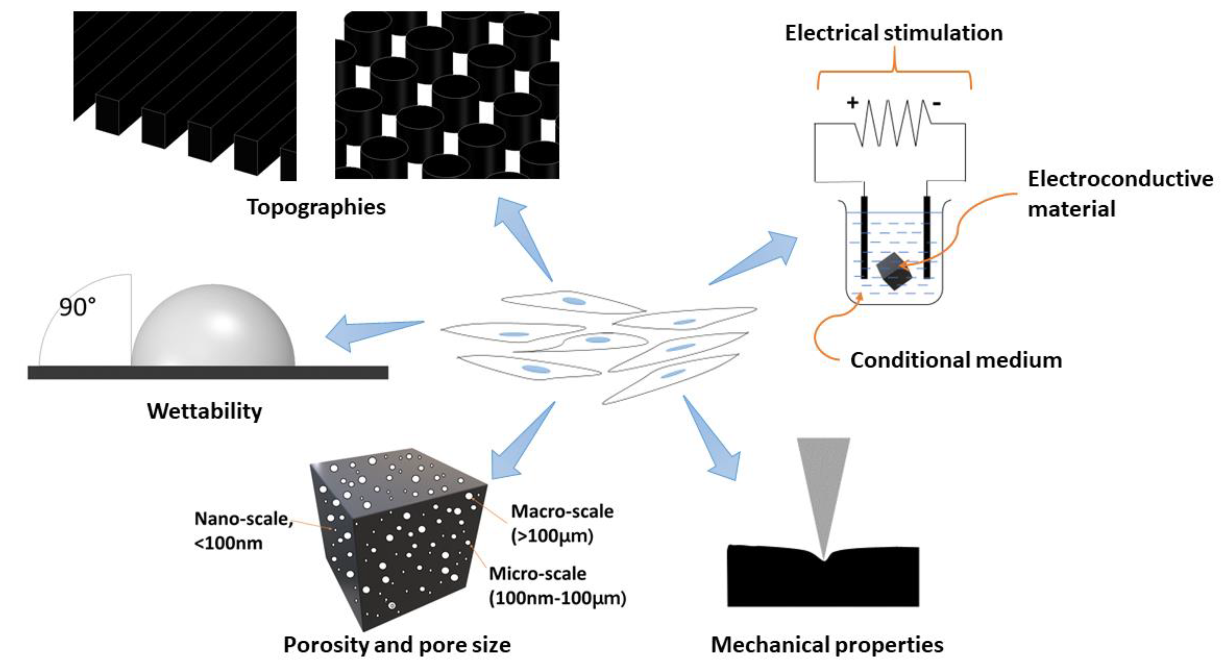 Polymers 13 04058 g002 Polymers 13 04058 g002
