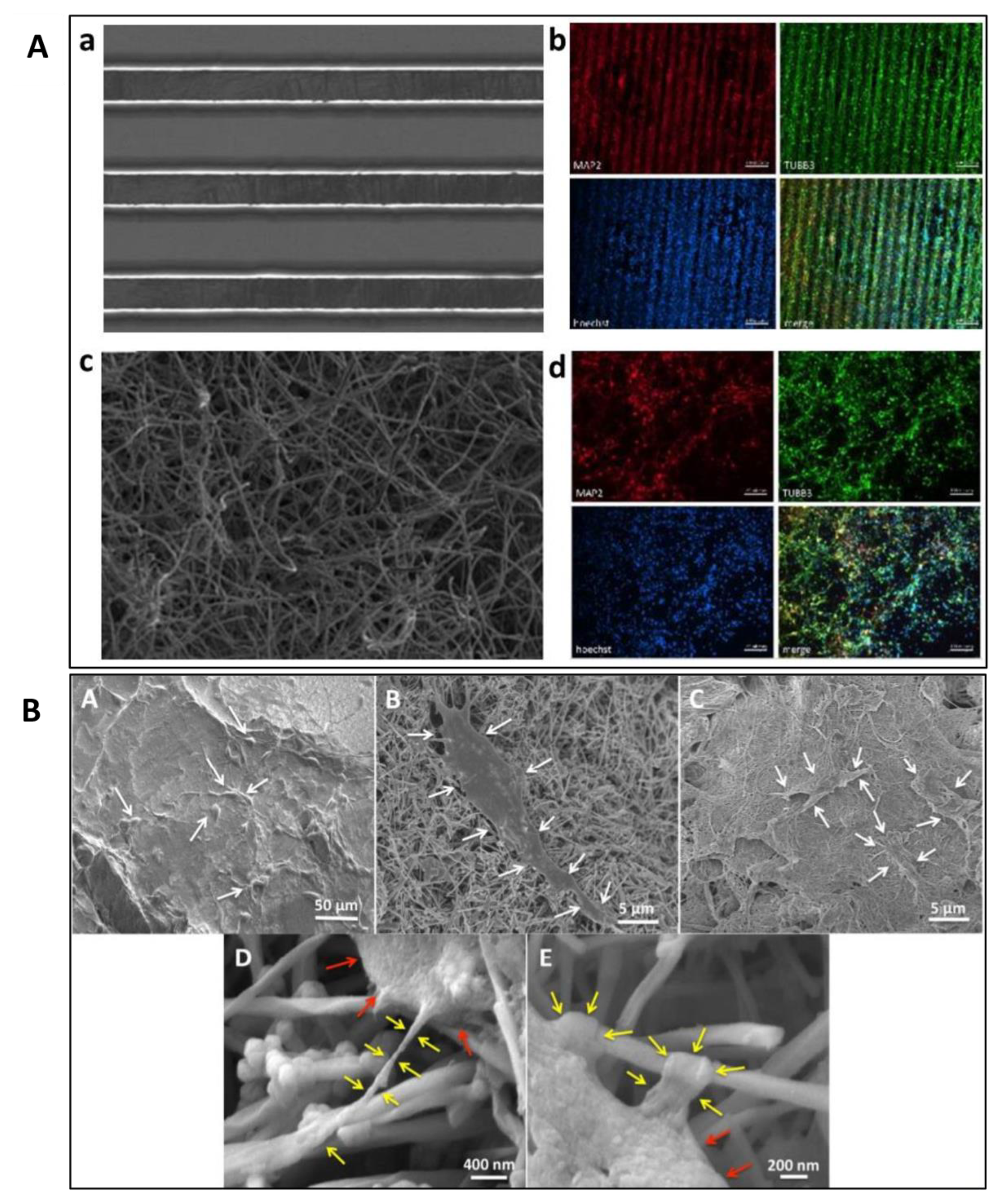 Polymers 13 04058 g003 Polymers 13 04058 g003