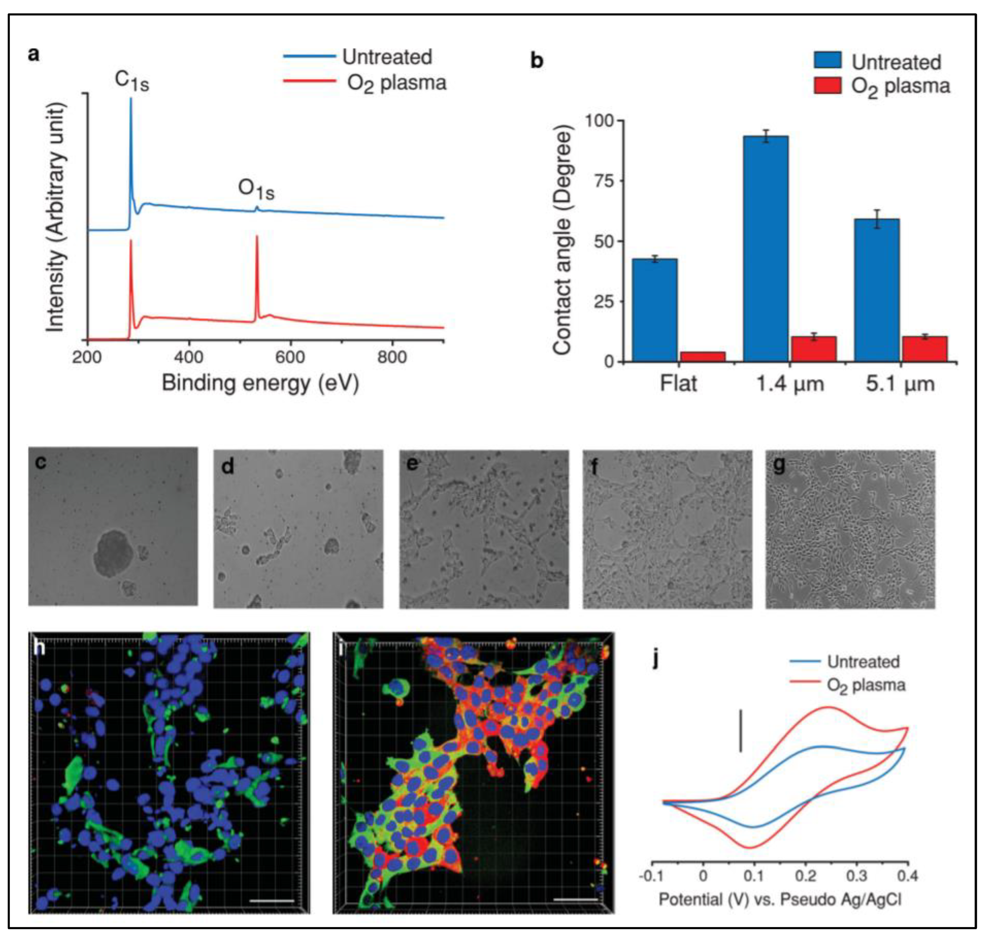 Polymers 13 04058 g004 Polymers 13 04058 g004