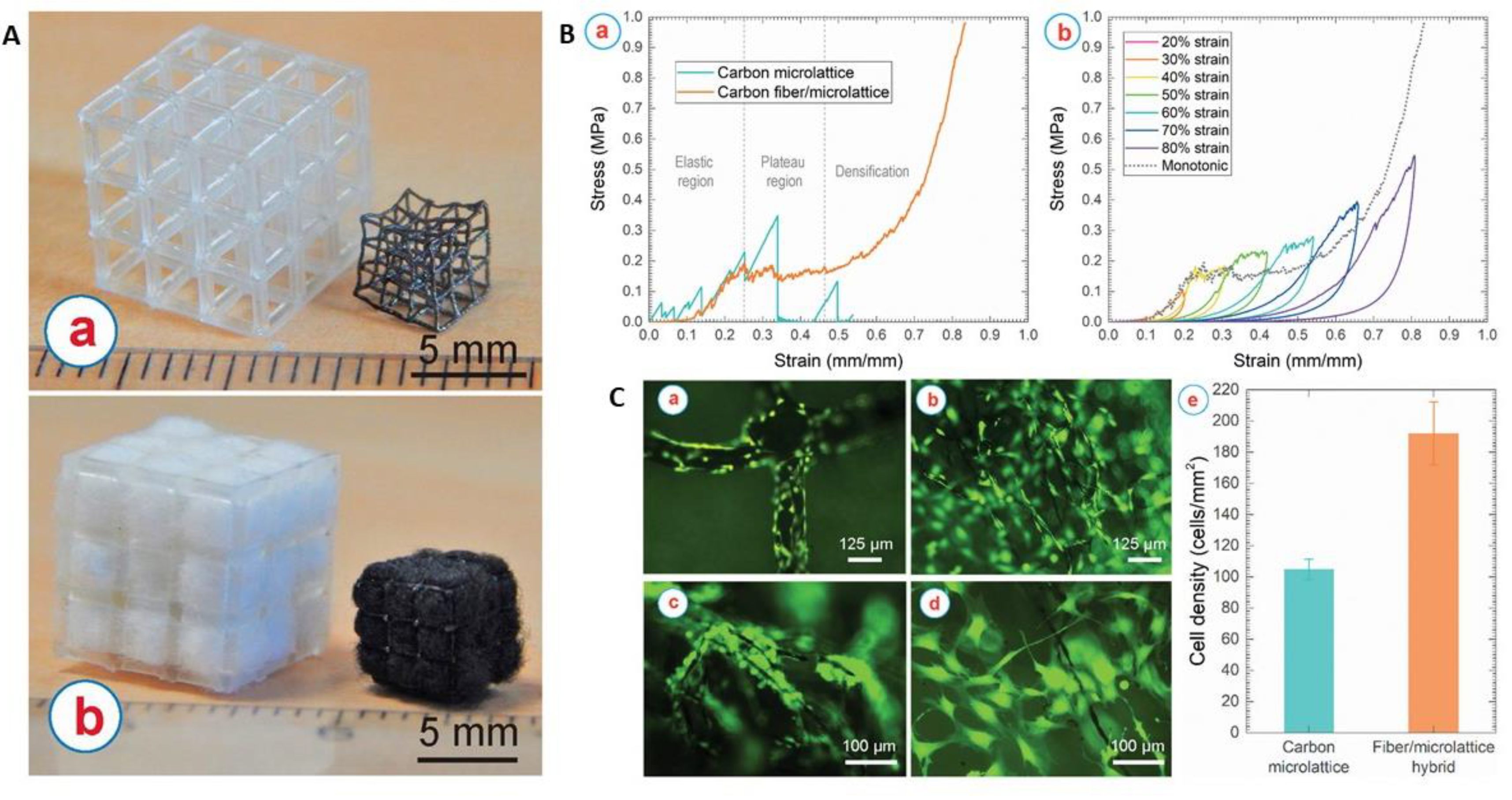 Polymers 13 04058 g005 Polymers 13 04058 g005