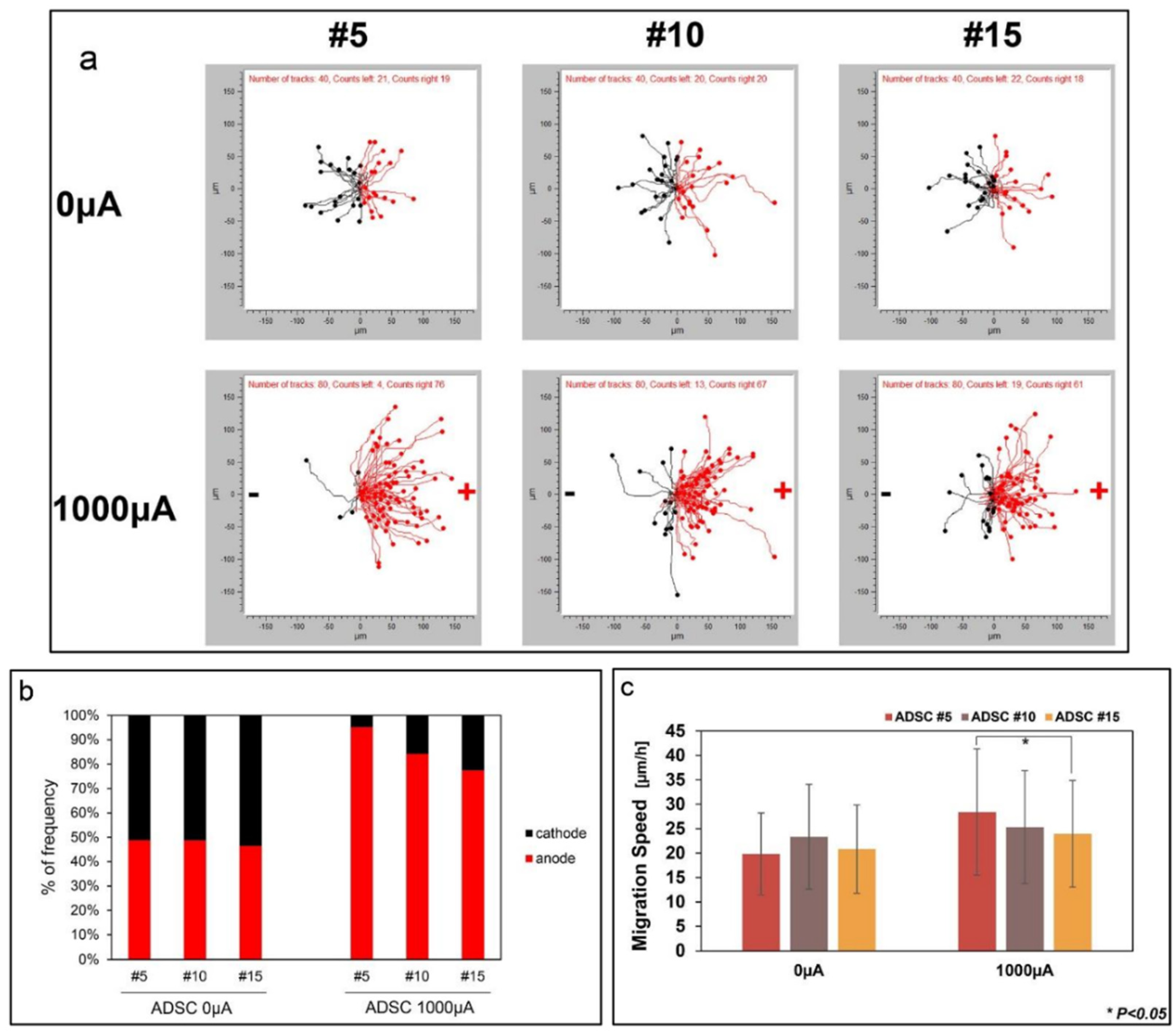 Polymers 13 04058 g007 Polymers 13 04058 g007