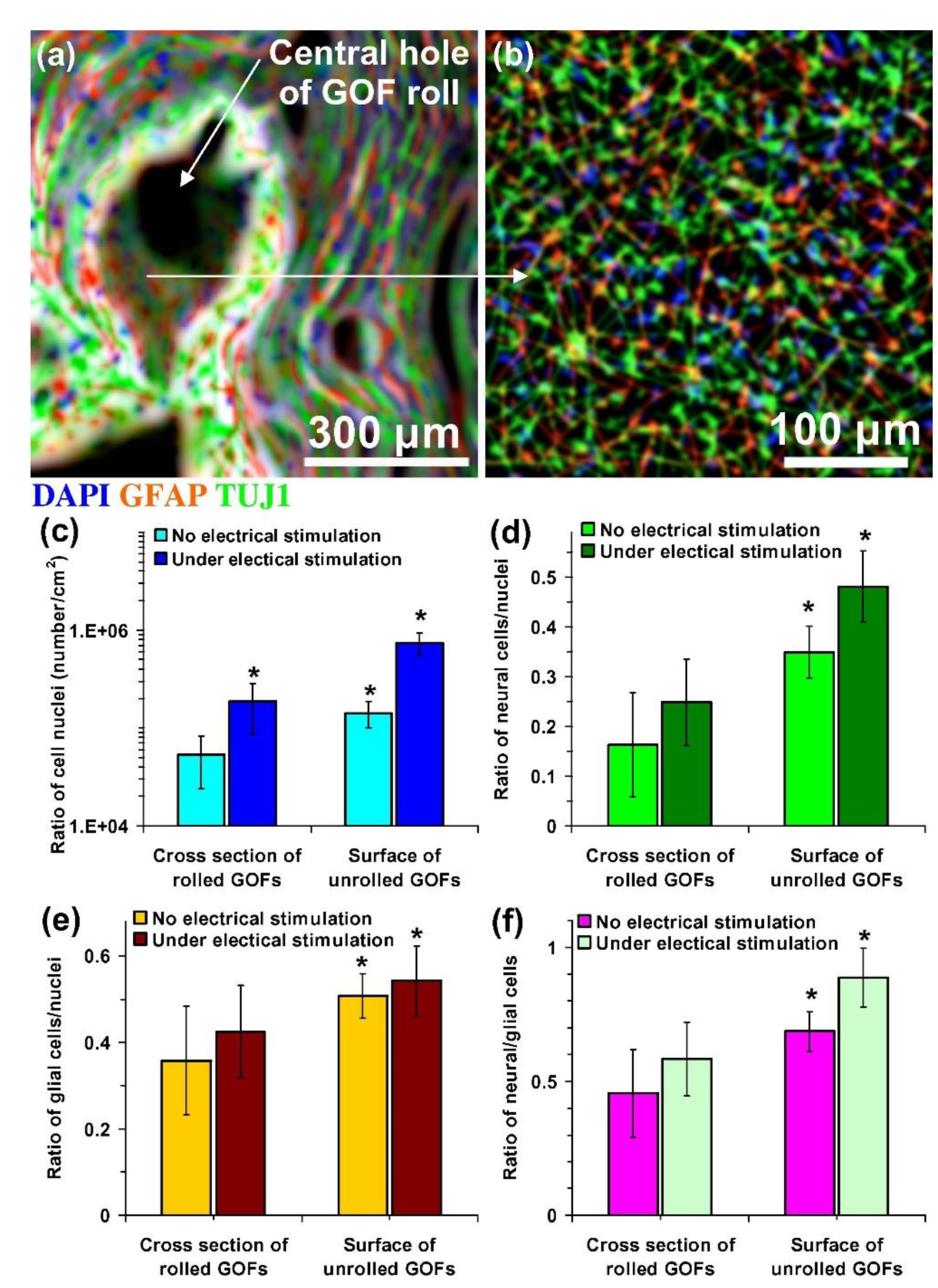 Polymers 13 04058 g008 Polymers 13 04058 g008