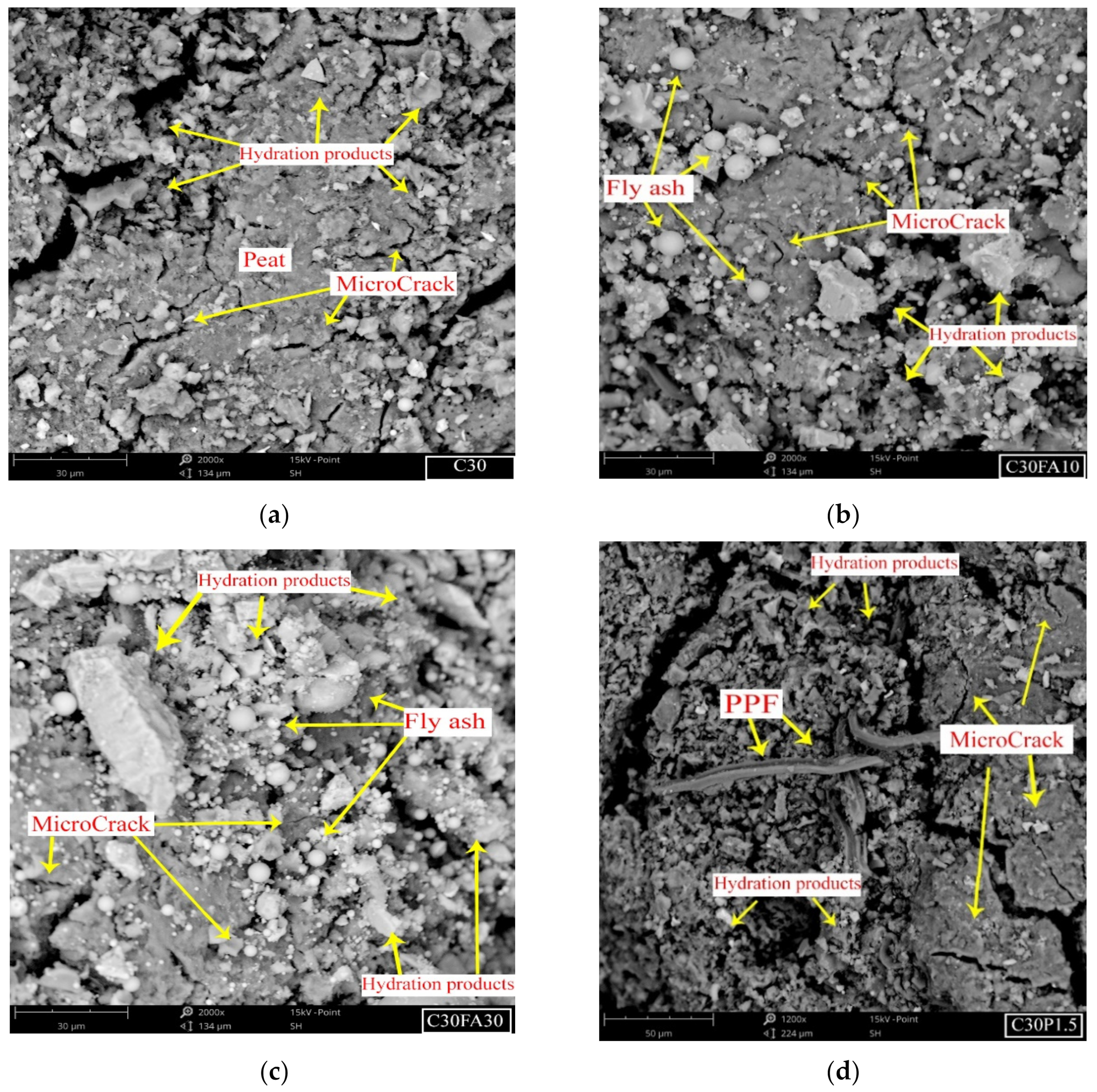Polymers 13 04059 g012 550