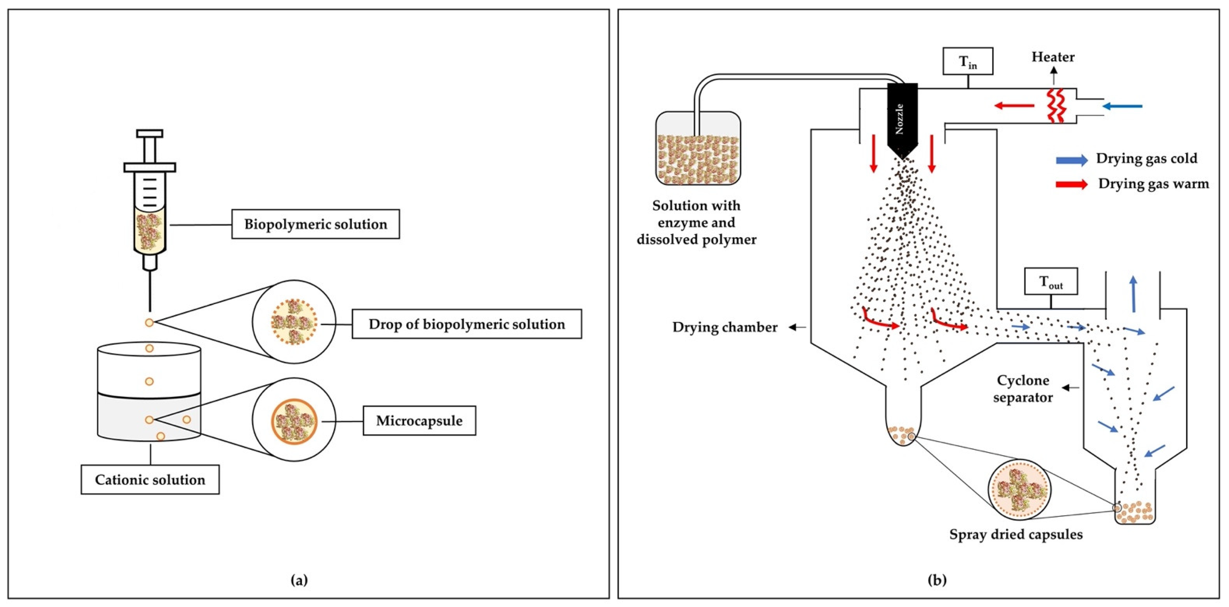 Polymers 13 04061 g001 Polymers 13 04061 g001