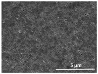 Polymers 13 04062 i002