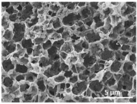 Polymers 13 04062 i004