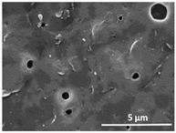 Polymers 13 04062 i005