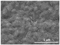 Polymers 13 04062 i006