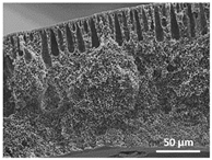 Polymers 13 04062 i007