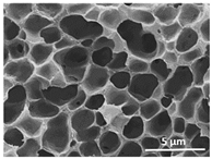 Polymers 13 04062 i008