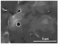 Polymers 13 04062 i009