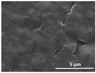 Polymers 13 04062 i010