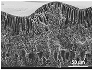 Polymers 13 04062 i011