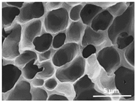 Polymers 13 04062 i012