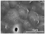Polymers 13 04062 i013