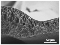 Polymers 13 04062 i015