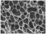 Polymers 13 04062 i016