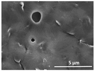 Polymers 13 04062 i017