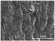 Polymers 13 04062 i018