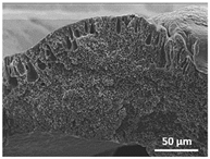 Polymers 13 04062 i019