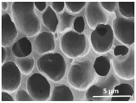 Polymers 13 04062 i020